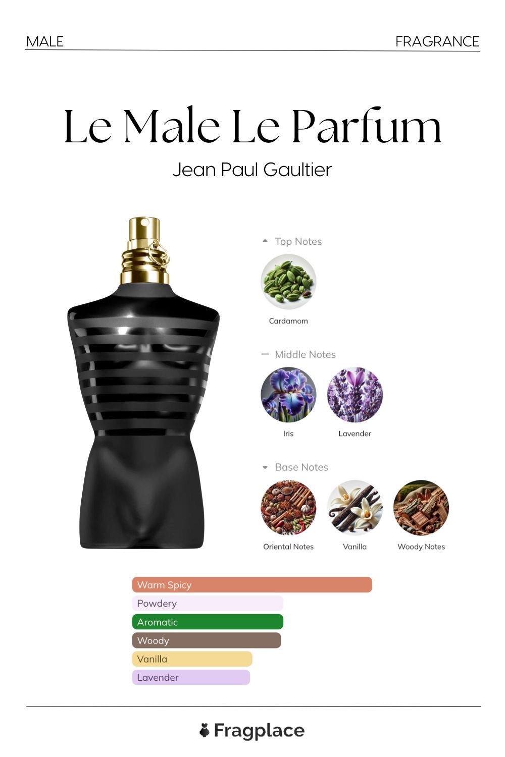 Le Male Jean Paul Gaultier Parfum Intense, 125 ml